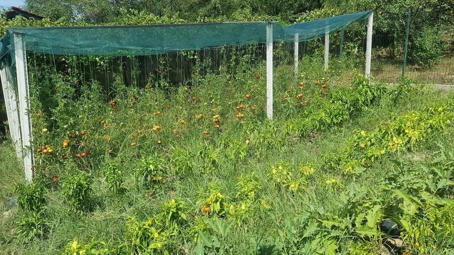 Casă cu 3 camere cu Teren 1558 Mp în Central