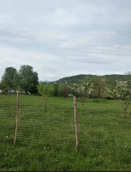 Teren de 2500 mp, în Central