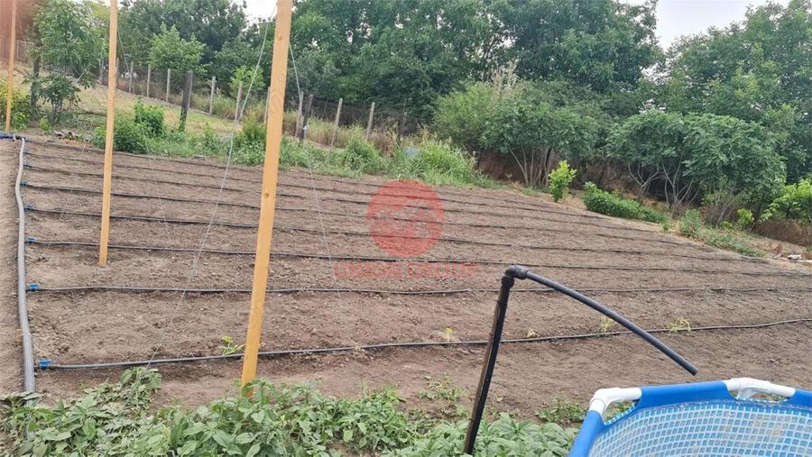 Casă cu Teren 1711 Mp în Topraisar