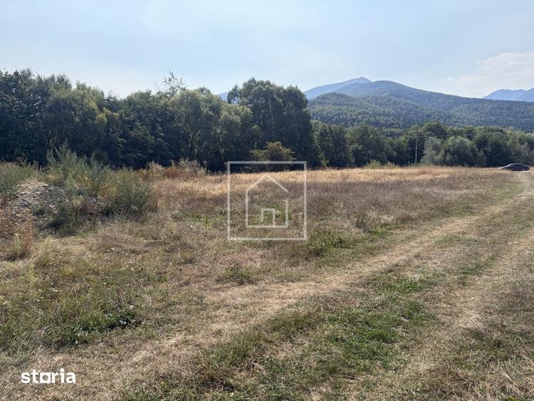 Teren de vanzare in zona turistica Sambata de Sus Jud Brasov - 4