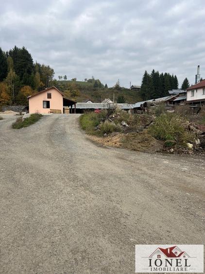 Teren Construcții intravilan de 4439 mp, în Bistra