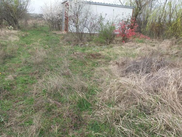 Teren de 3000 mp, în Milcov