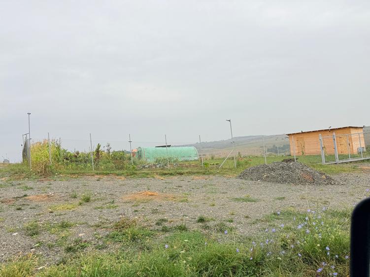 Teren agricol extravilan de 716 mp, în Roșia