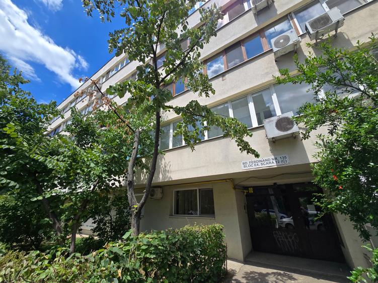 Inchiriere apartament 2 Camere Bd Ferdinand - 12
