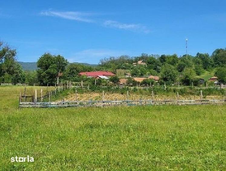 Teren de 1743 mp, în Tisău