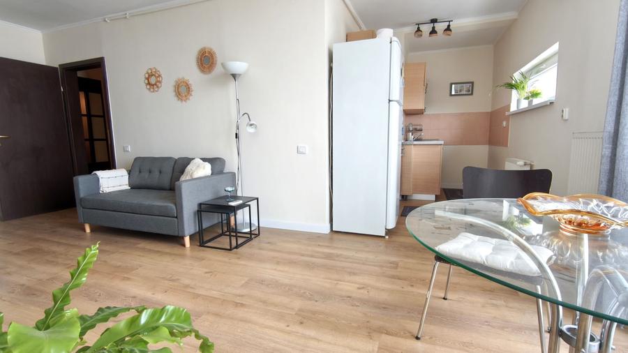 Apartament cu 2 camere nedecomandat în Central