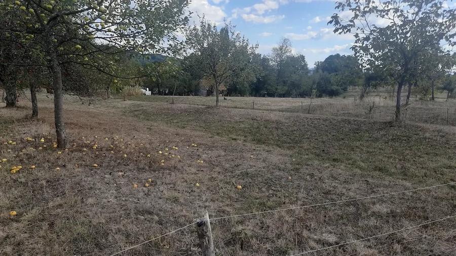 Teren de 835 mp, în Hălmagiu