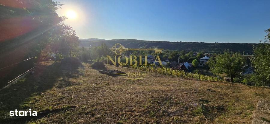 Teren de 10537 mp, în Bogdănești