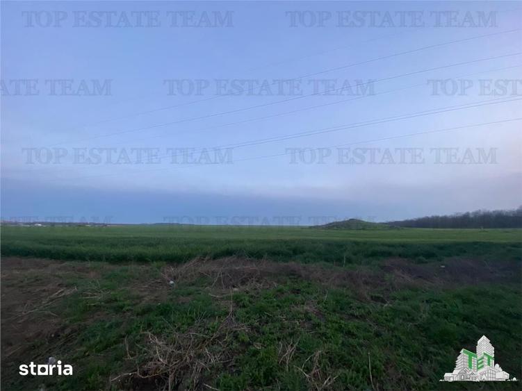 Teren de 15000 mp, în Central