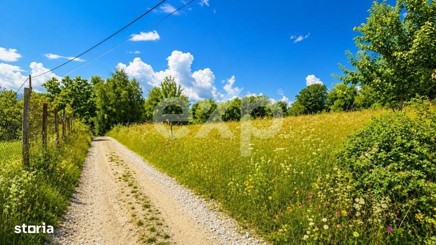 PANORAMA POIANA MARULUI | Teren cu potential de dezvoltare zona Afte - 3