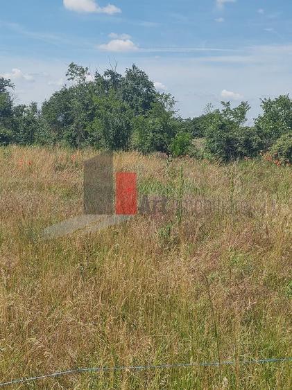 Teren în Central