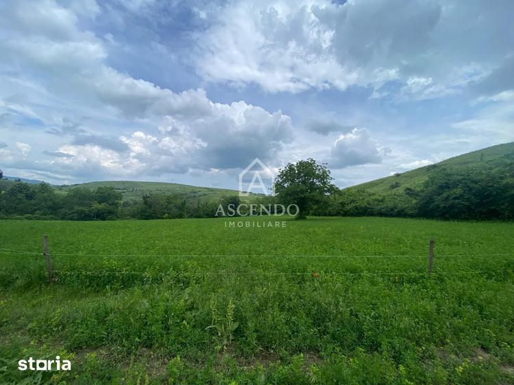 Teren de 15900 mp, în Năeni