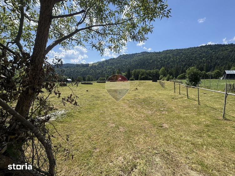 Teren de 2802 mp, în Borca