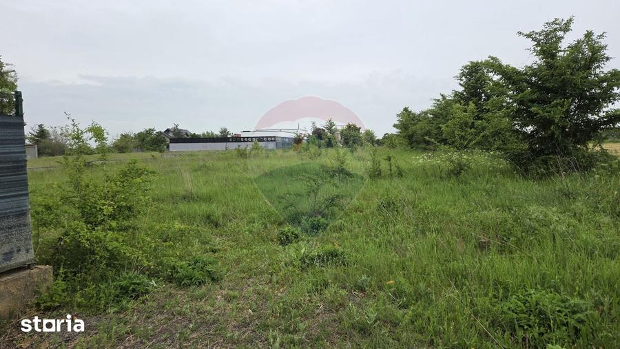 Teren de 752 mp, în Bolintin-Deal