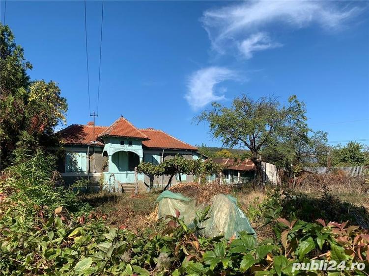 Teren de 1734 mp, în Pietroasele