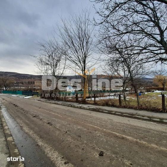 Teren de 10435 mp, în Stănilești