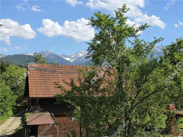 Cabana de vanzare pe Valea Avrigului - 11
