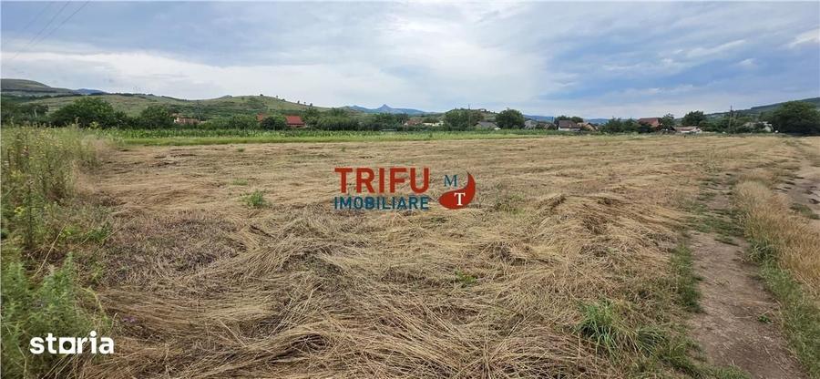 Teren de 1374 mp, în Șard