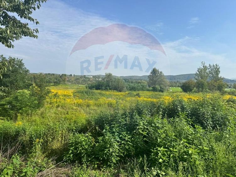 Teren agricol de 5240 mp, în Central