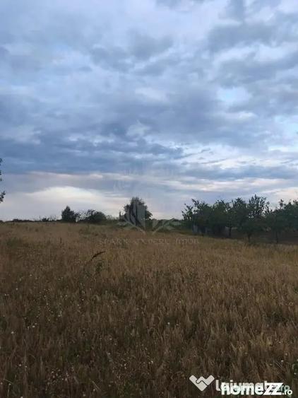 Teren în Păulești