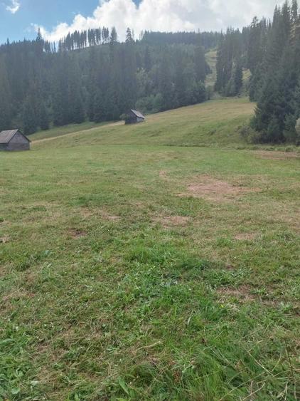 Teren 24134 mp Ciocanesti, Jud. Suceava - 5