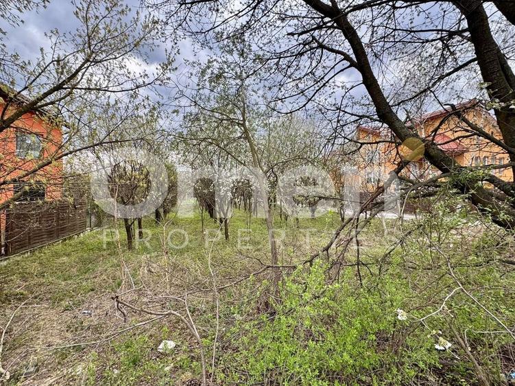 Teren agricol intravilan de 800 mp, în Valea Borcutului