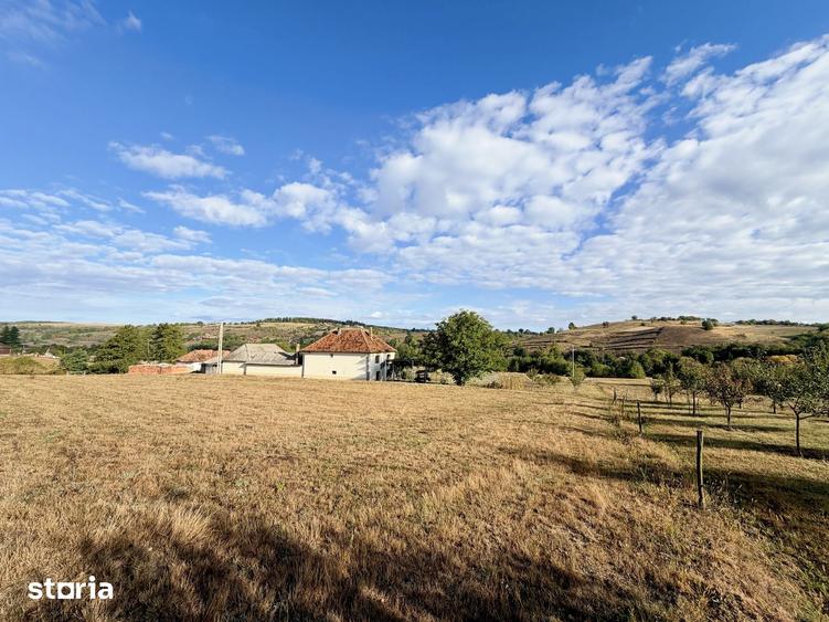 Casă cu 4 camere cu Teren 13000 Mp în Sâg