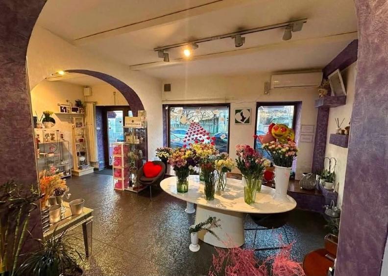 Spațiu comercial, de 64 mp, în Banu Manta