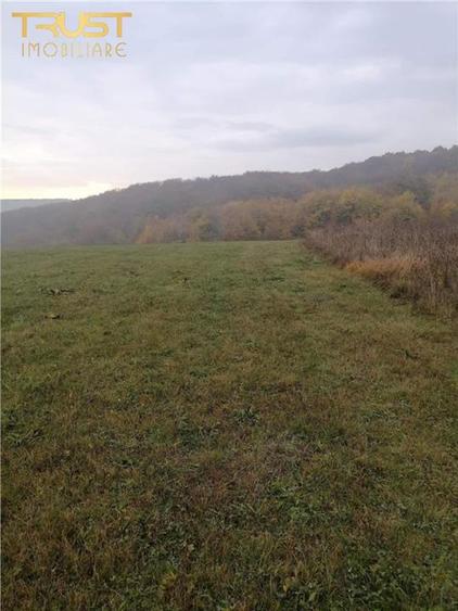 Teren intravilan de 2900 mp, în Corușu