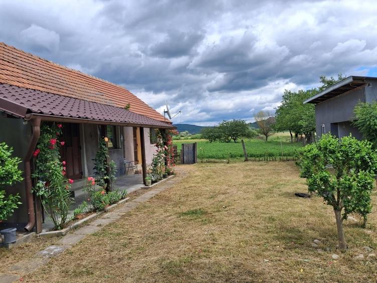 Casă cu 3 camere în Bacea