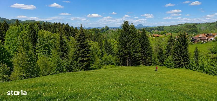 Casă cu 4 camere cu Teren 1000 Mp în Bran