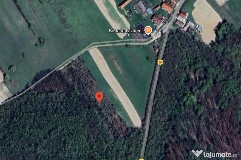 Teren de 4480 mp, în Lăzăreni
