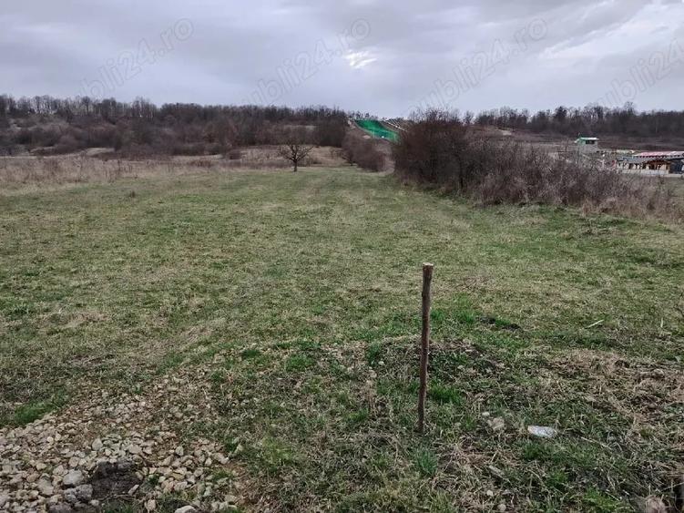 Teren de 5476 mp, în Arcani