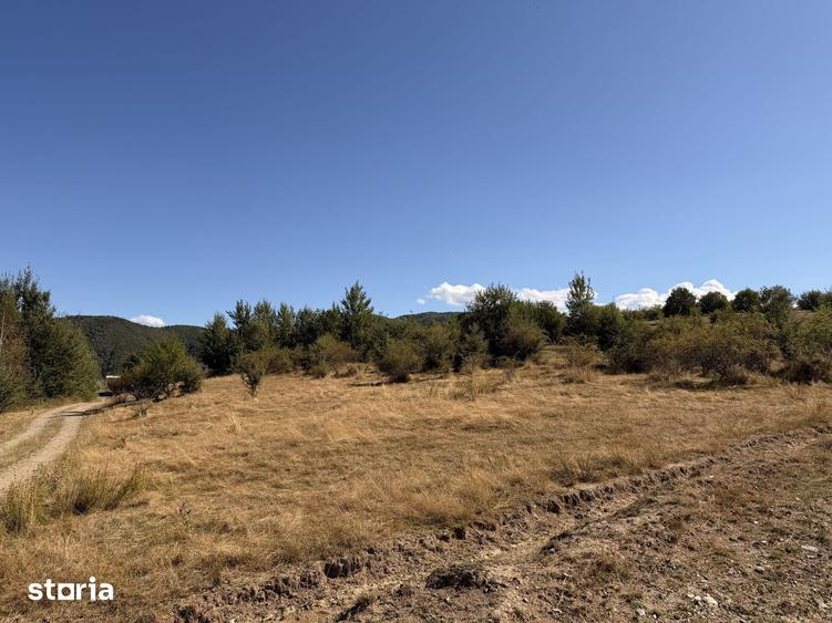 Teren de 850 mp, în Central