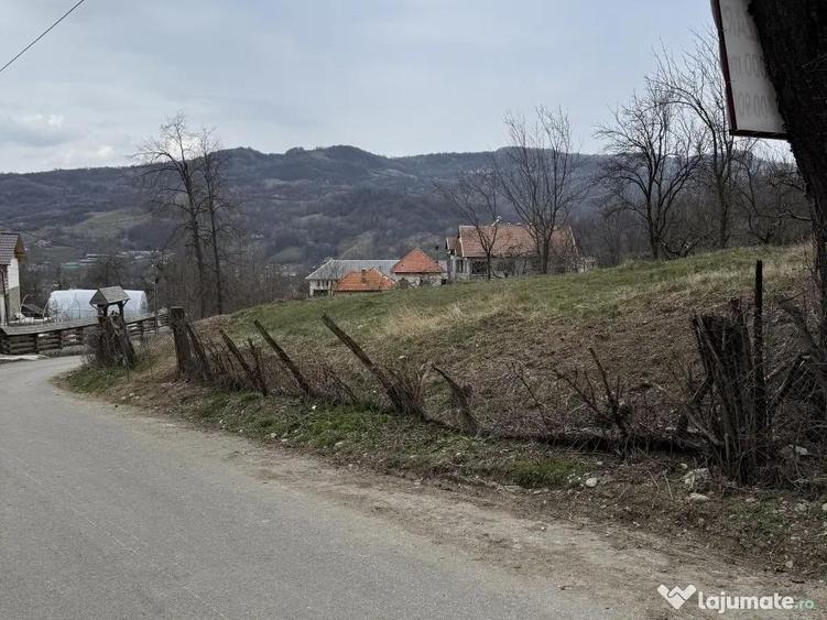 Teren de 3000 mp, în Cetățeni