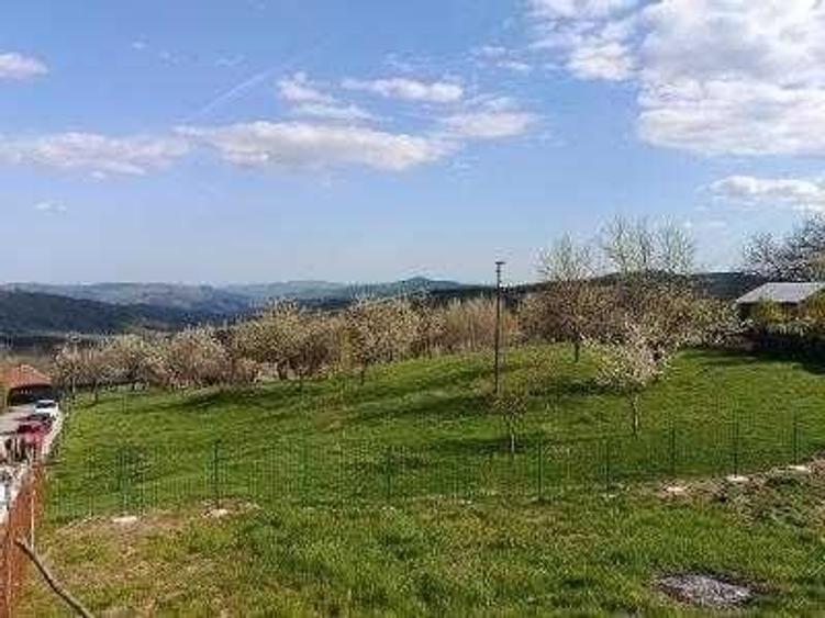 Teren de 2000 mp, în Talea