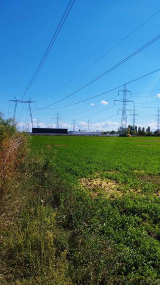 Teren Construcții intravilan de 4550 mp, în Nicolae Grigorescu