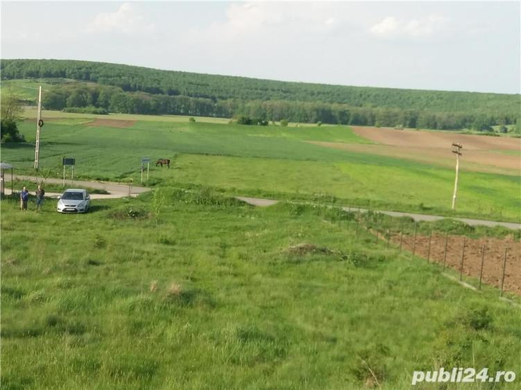 Casă cu 6 camere cu Teren 5000 Mp în Baldovinești