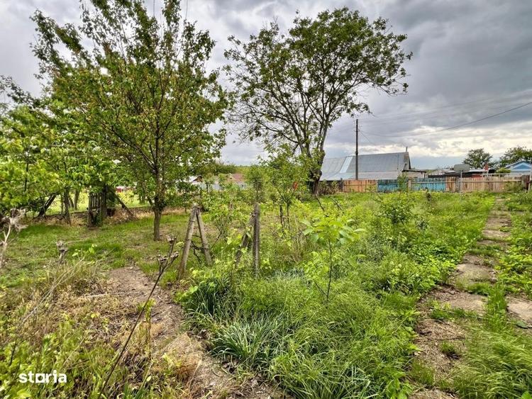 Casă cu 4 camere cu Teren 4430 Mp în Tecucelu Sec