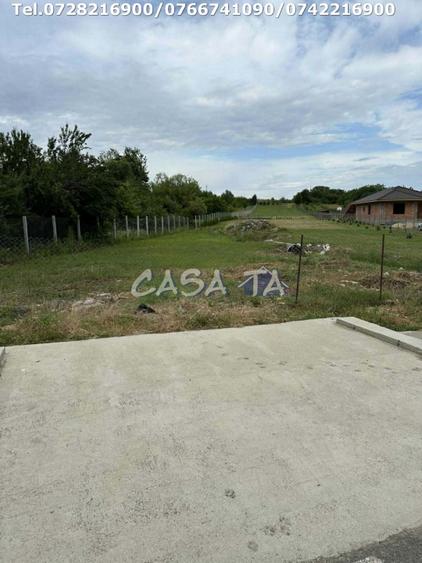 Teren Construcții intravilan de 5000 mp, în Lelești