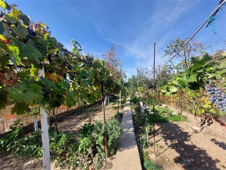 Casă individuală cu 3 camere cu Canalizare în Aradul Nou