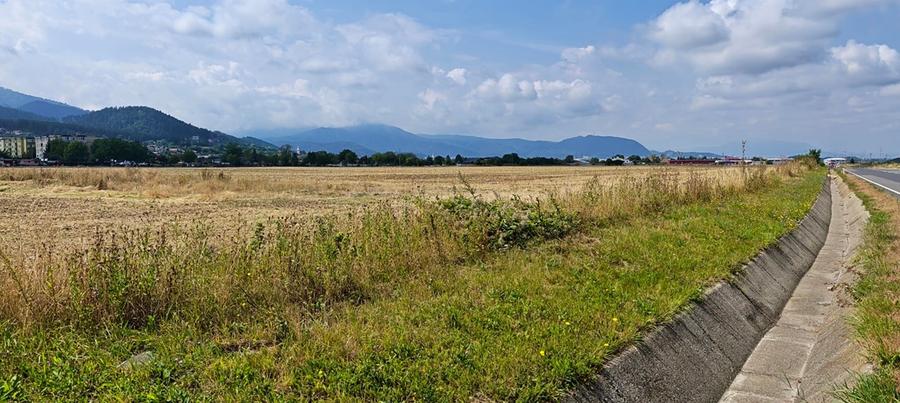 Teren intravilan de 9800 mp, în Electroprecizia