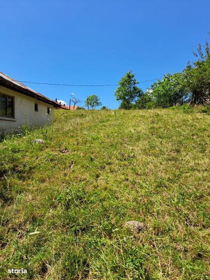 Teren de 4900 mp, în Central