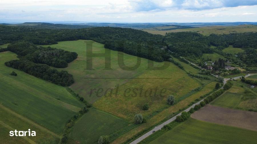Teren de 220000 mp, în Filipeni