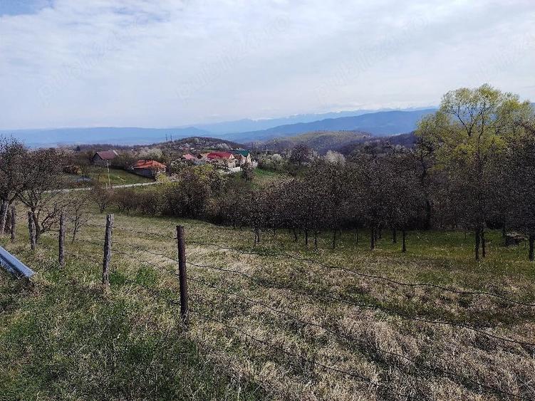 Teren de 2700 mp, în Ghelari