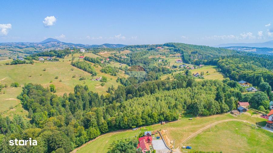 Teren de 7083 mp, în Poiana Mărului