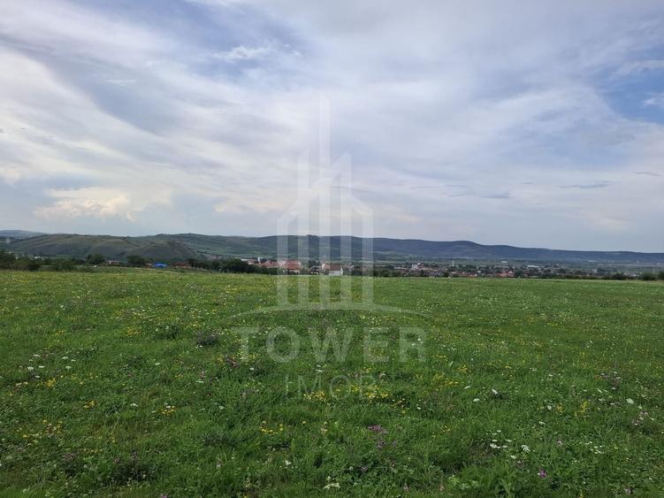 Teren agricol extravilan de 1500 mp, în Orlat