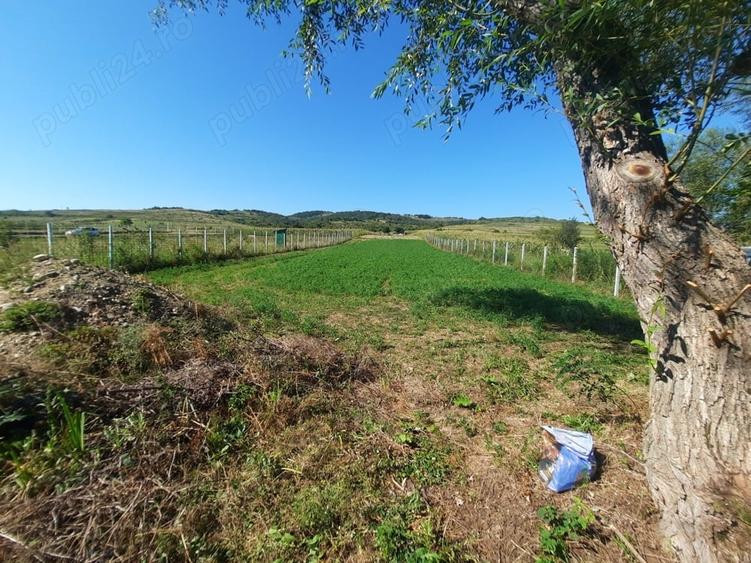 Teren de 1000 mp, în Berzasca