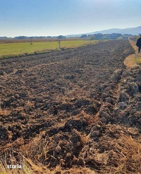 Teren intravilan cu 2 deschideri 4700 m2, Barabant-Orizont - 1