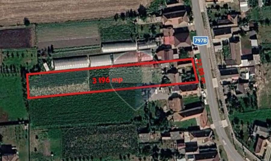 Casă individuală cu 4 camere cu Teren 3196 Mp în Mădăras
